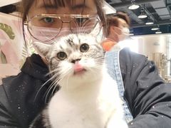 -藏猫猫咖啡主题馆(中央大道店)