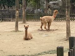 -南昌动物园