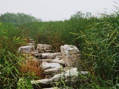 -绿堤公园