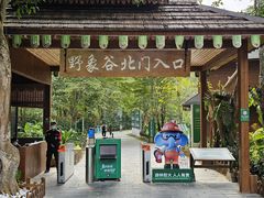 -野象谷景区