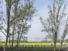 -中国天府农业博览园