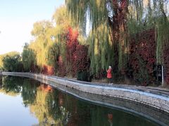 -黑龙江省森林植物园