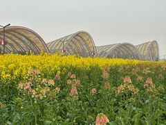 -中国天府农业博览园