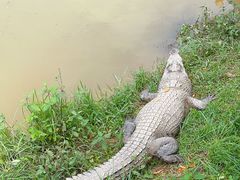 -泉州海丝野生动物世界