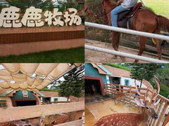 -盈香心动乐园