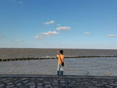 -上海长兴岛郊野公园