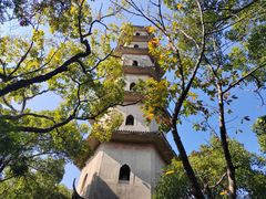 -江心屿景区