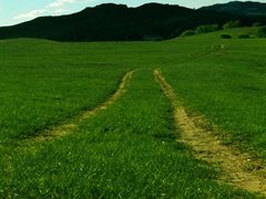 -塞罕坝国家级自然保护区