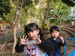 -呀路古热带植物园