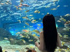 -海合安武汉极地海洋公园