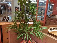 -福客麻辣烫·现炒麻辣香锅(印力中心店)