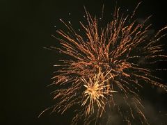 -顾村公园3号门停车场