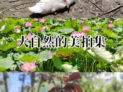 -南翠屏公园