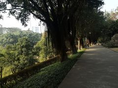 -广州雕塑公园