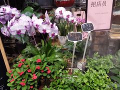 -豆豆花艺(新光天地店)