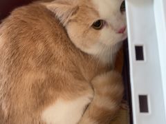 -艾贝尔宠物医院 ·中兽医·宠保定点(北门桥店)