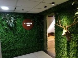-V-STAR威斯达•高级私人定制
