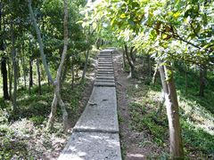 -上海佘山国家森林公园天马山园