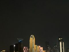 -武汉知音号