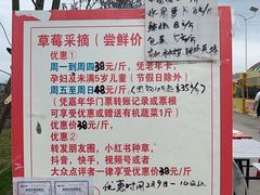 -长洲岛