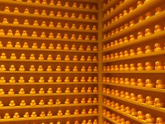 -福州奇幻解压馆(东泰禾旗舰店)