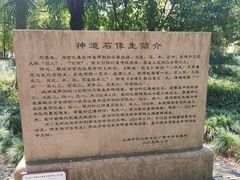 -上海方塔园