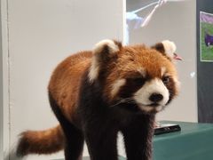 -中国湿地博物馆