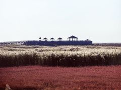 -红海滩国家风景廊道