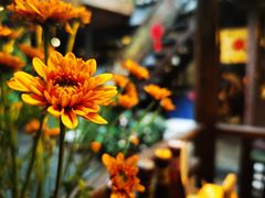 -吃货私房菜(丽江束河古镇店)