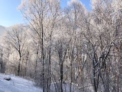 -亚布力新体委滑雪场