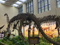 -广西壮族自治区博物馆