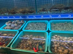 水产区-蟹将军·松叶蟹和牛日料放题自助(K11店)