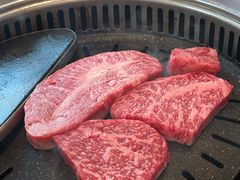 -黄金牧场(明洞总店)