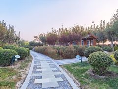 -东疆建设开发纪念公园