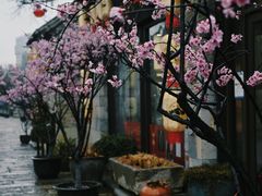 -回龙窝历史文化街区