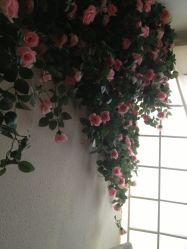 影棚一角-飞鱼婚纱摄影(宏福大厦店)