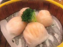 -香港新曜记茶餐厅(星耀城店)