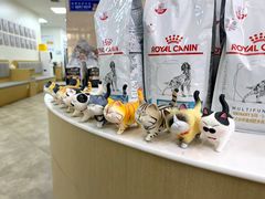 -美联众合动物医院·24h转诊中心