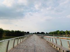 -滆湖低碳生态公园