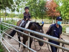 -上海海湾国家森林公园