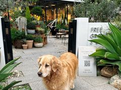 -自由生长植物工作室(深港花卉中心店)