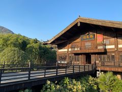 -大唐贡茶院