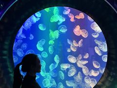 -成都浩海立方海洋公园