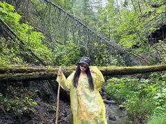 -峡谷浮石林景区