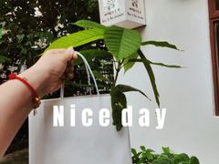 -SANYAY叁言咖啡巧克力
