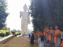 -西双版纳勐泐文化旅游区