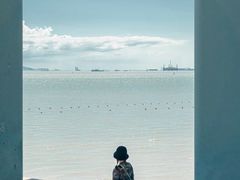 -宝安西湾红树林湿地公园