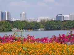 -海珠湖公园