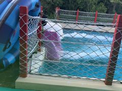 -上海玛雅海滩水公园