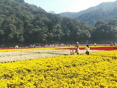 -广州市石门国家森林公园